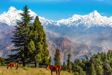 Uttrakhand Tour Packages From Delhi | Uttrakhand Tour Packages From Haridwar